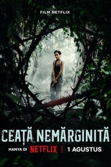 Ceață Nemărginită