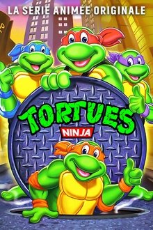 Les Tortues Ninja