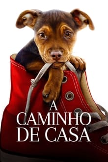 Poster do filme A Caminho de Casa