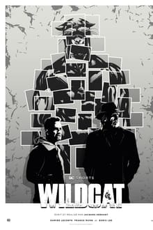 Poster do filme Wildcat