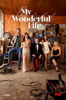 Poster da série My Wonderful Life