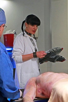 NCIS season 9 episode 10