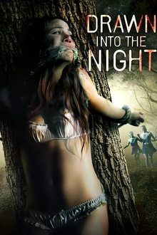 Poster do filme Drawn Into the Night