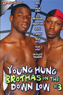 Young Hung Brothas on the Down Low 3