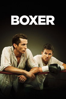 Boxer