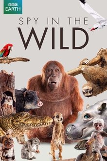 Poster da série Spy in the Wild