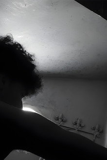 Shadows of Silence
