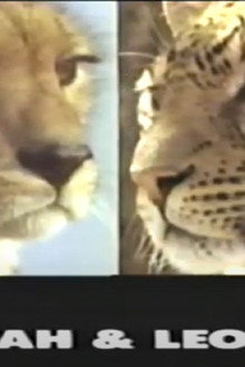 Predators of the Wild: Cheetah and Leopard