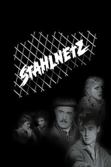 Stahlnetz tv show poster