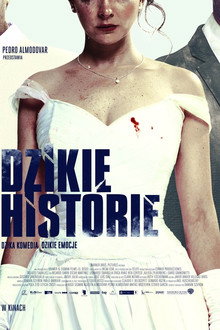 Dzikie historie