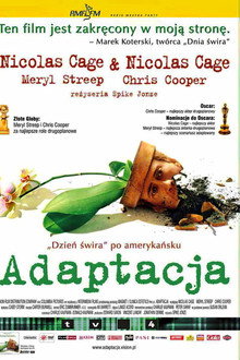 Adaptacja