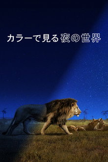 シーズン1