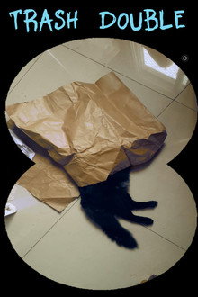 Trash Double