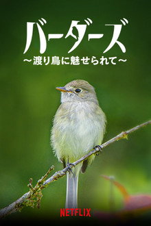 バーダーズ ～渡り鳥に魅せられて～