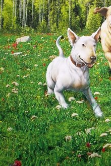 The-Incredible-Journey