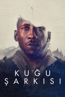 Kuğu Şarkısı