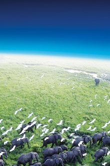 Планета Земля