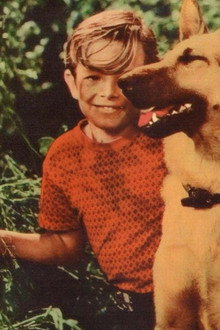 A Dog's Best Friend