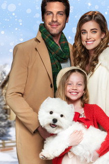 Christmas Love Letter