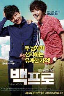 Mr. Perfect movie poster