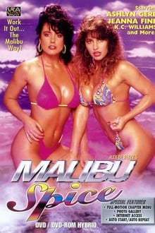 Poster do filme Malibu Spice