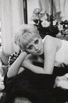 Фандо и Лис