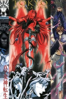 Poster do filme Tokyo Revelation