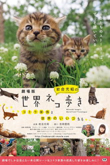 Mitsuaki Iwago's World “Cats” Travelogue
