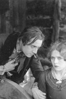 A Romance of the Redwoods