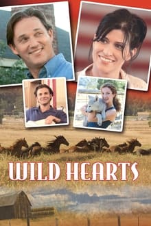 Poster do filme Wild Hearts