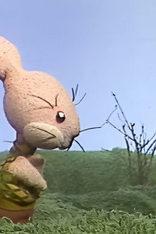 A csodálatos nyúlcipő