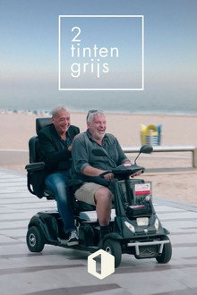 Twee Tinten Grijs