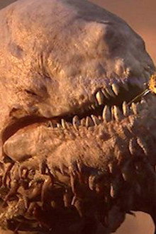 The Leviathan
