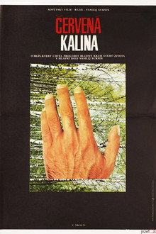 Červená kalina