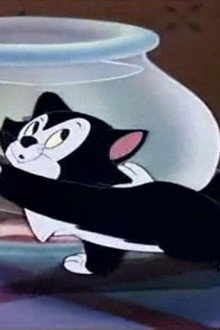 Figaro e Cleo