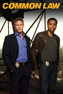 Common Law tv show poster