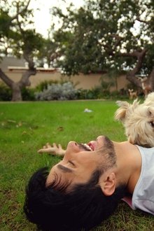 Doggy-Bank