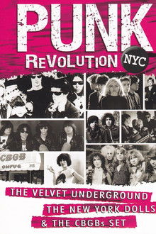 Punk Revolution NYC