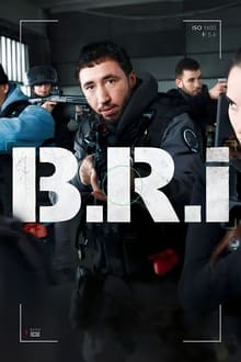 Poster da série The Brigade