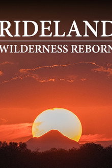 Pridelands: Wilderness Reborn