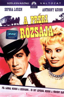 A préri rózsája