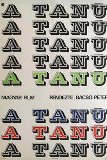 A tanú