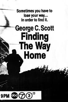Poster do filme A Caminho de Casa