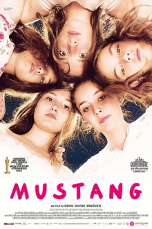 Mustang