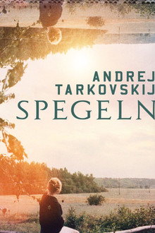 Spegeln