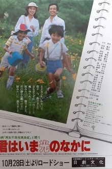 Fighting Against The Incurable Disease Aplastic Anemia – Now You Are In The Light