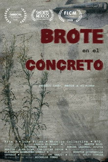 Brote en el concreto