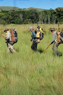 Out of the Wild: Venezuela