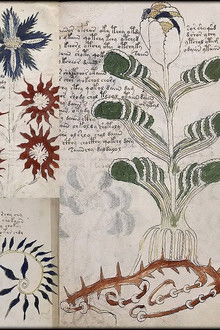 Das-Voynich-Manuskript---Die-geheimnisvollste-Handschrift-der-Welt