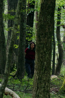 Through The Trees